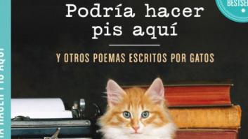 'Podría hacer pis aquí': cuando los gatos se convierten en poetas (GIFS)
