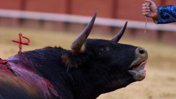 El mundo del toro convoca movilizaciones ante el "ninguneo" de Cultura