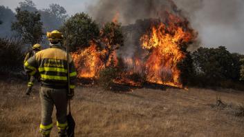 Controlado el incendio de Losacio (Zamora) tras 28 días de actividad y más de 31.500 hectáreas arrasadas