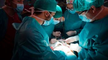 Holanda convierte a todos sus ciudadanos en donantes de órganos con una polémica ley