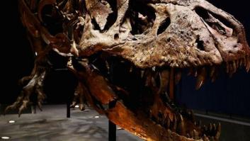 La ciencia descubre otro desastre que provocó la extinción de los dinosaurios