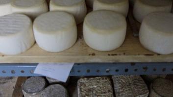 Retiran un lote de quesos de oveja tras un caso de meningitis en Madrid