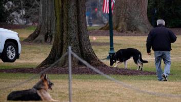 Biden saca a sus perros de la Casa Blanca tras el ataque a un miembro de su seguridad
