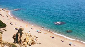 La temperatura del Mediterráneo superó los 31 grados este verano