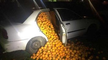 La Policía les pilla con 4.000 kilos de naranjas y alegan que son "para consumo propio"