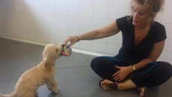 El calvario de Buddy: el perro retenido desde el viernes en el aeropuerto