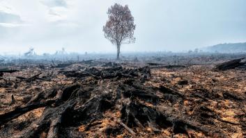 Ecocidio: un nuevo crimen contra la paz para salvar el planeta