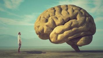Cosas que te conviene saber sobre el cerebro