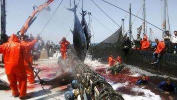 La UE aprueba un nuevo acuerdo pesquero con Marruecos