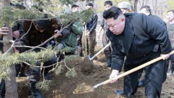 ¿Kim Jong-un mata al arquitecto de un aeropuerto porque no le gustó? Las reacciones en Twitter