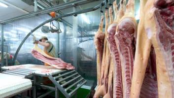 Sanidad confirma la entrada en España de 367 kilos de carne de vaca enferma polaca