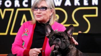 El perro de Carrie Fisher protagoniza un cameo adorable en 'Star Wars: Los últimos Jedi'