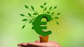 Bancos vs. medioambiente: ¿cómo es la banca ‘eco-friendly’?