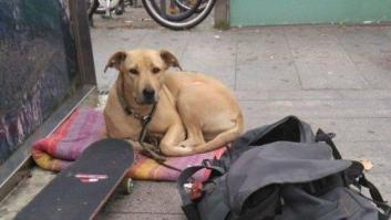 El ayuntamiento de Barcelona determina que la actuación del policía que mató a tiros a la perra Sota fue proporcional