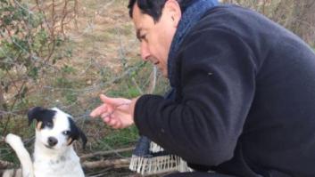 Juanma Moreno publica un tuit sobre un perro maltratado y Pérez-Reverte le da una réplica implacable