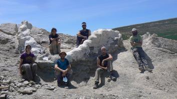 Recuperan la columna vertebral de un dinosaurio gigante desconocido en Teruel
