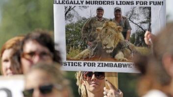 Zimbabue pide a EEUU la extradición del dentista Walter Palmer por matar a 'Cecil'