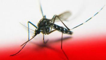 Esto es lo que le pasa a tu cuerpo cuando un mosquito te pica (INFOGRAFÍA)