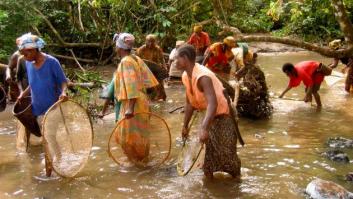 En defensa del trabajo de WWF en la Cuenca del Congo: por las personas y la naturaleza