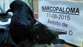 Cadena perpetua para la 'narcopaloma' que entregaba drogas en una cárcel de Costa Rica