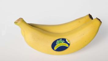 Retiran 22 millones de plátanos de Canarias
