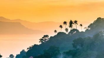 Por qué deberías viajar a Sri Lanka en tus próximas vacaciones