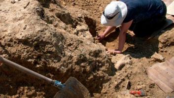 Descubiertos en Guadalajara los restos más antiguos de Homo Sapiens en la Meseta