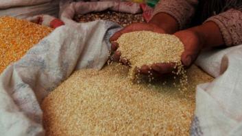 ¿Qué es la quinoa? Claves para que quienes la coman la comprendan