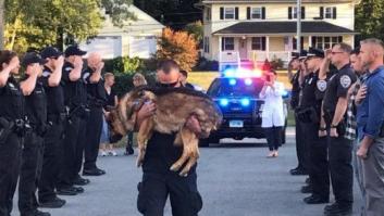 La emotiva despedida a un perro policía con cáncer de hígado en Estados Unidos