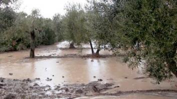 Las lluvias se trasladan a Canarias y los avisos se reducirán a La Palma y A Coruña