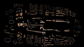 Homo Naledi, una nueva especie con rasgos de Australopithecus