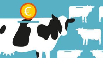 ¿Por qué protestan los ganaderos? Las claves del conflicto por el precio de la leche