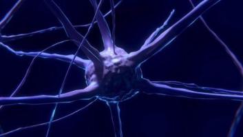 Seis formas de producir neuronas a cualquier edad