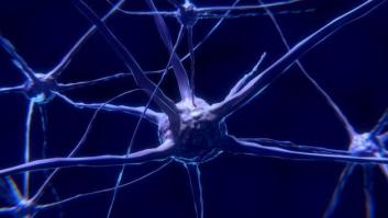Un nuevo estudio confirma que este deporte hace brotar neuronas nuevas en una zona clave del cerebro en adultos