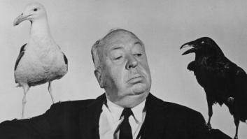 'Los pájaros' de Hitchcock vuelven en formato serie
