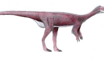 El 'Chilesaurus', el 