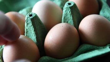 Francia identifica nuevos centros de distribución de huevos contaminados