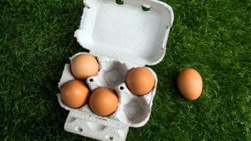 Inmovilizadas en Vizcaya 20 toneladas de huevo líquido contaminado