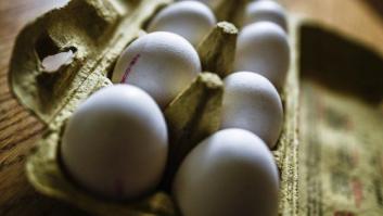 Dos sospechosos detenidos en Holanda por la crisis de los huevos contaminados