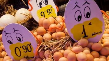 La crisis de los huevos contaminados afecta ya a 16 países de Europa y a Hong Kong