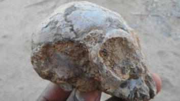 Un equipo de arqueólogos cree haber encontrado en Kenia el cráneo del antepasado común de simios y humanos