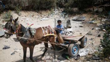 Trabajo infantil en Gaza, una lacra que no cesa