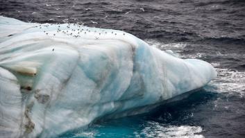 El Ártico perderá todo su hielo en las próximas dos décadas