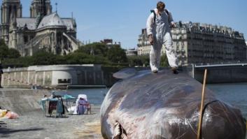 Un 'cachalote' encalla en París para denunciar el cambio climático