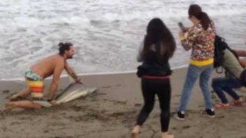 Otra vez la estupidez humana: un bañista saca del mar a un tiburón para hacerse una foto