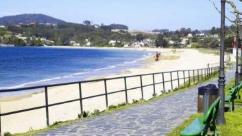 Desalojan una playa de A Coruña por una invasión de abejas
