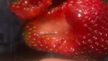 Investigan en Australia casos de agujas insertadas en fresas