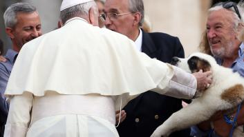 El Papa acusa de "egoístas" a las parejas que no quieren tener hijos pero sí mascotas