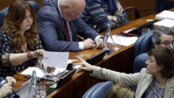 El PP Madrid pierde una votación sobre gestación subrogada por tres diputados díscolos