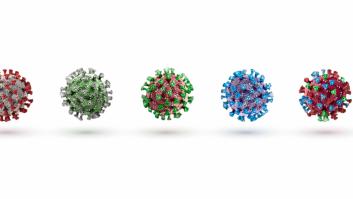 Las células T de los resfriados comunes protegen contra la infección de covid-19